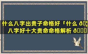 什么八字出贵子命格好「什么 🦄 八字好十大贵命命格解析 🐋 」